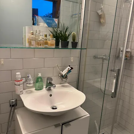 Cozy Studio In * Zurich